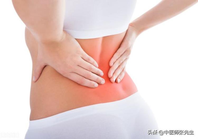 腰痛的辨证论治,腰痛的辨证分型有哪些