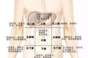 中医内科腹痛的病因病机与辨证论治分析,腹痛的中医诊断及辨证