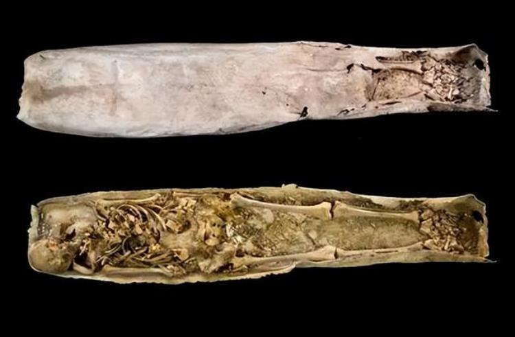 封印吸血鬼巴黎圣母院地下发现14世纪铅棺它真有那么神秘吗