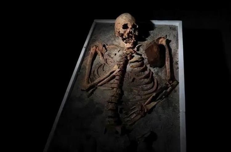 封印吸血鬼巴黎圣母院地下发现14世纪铅棺它真有那么神秘吗