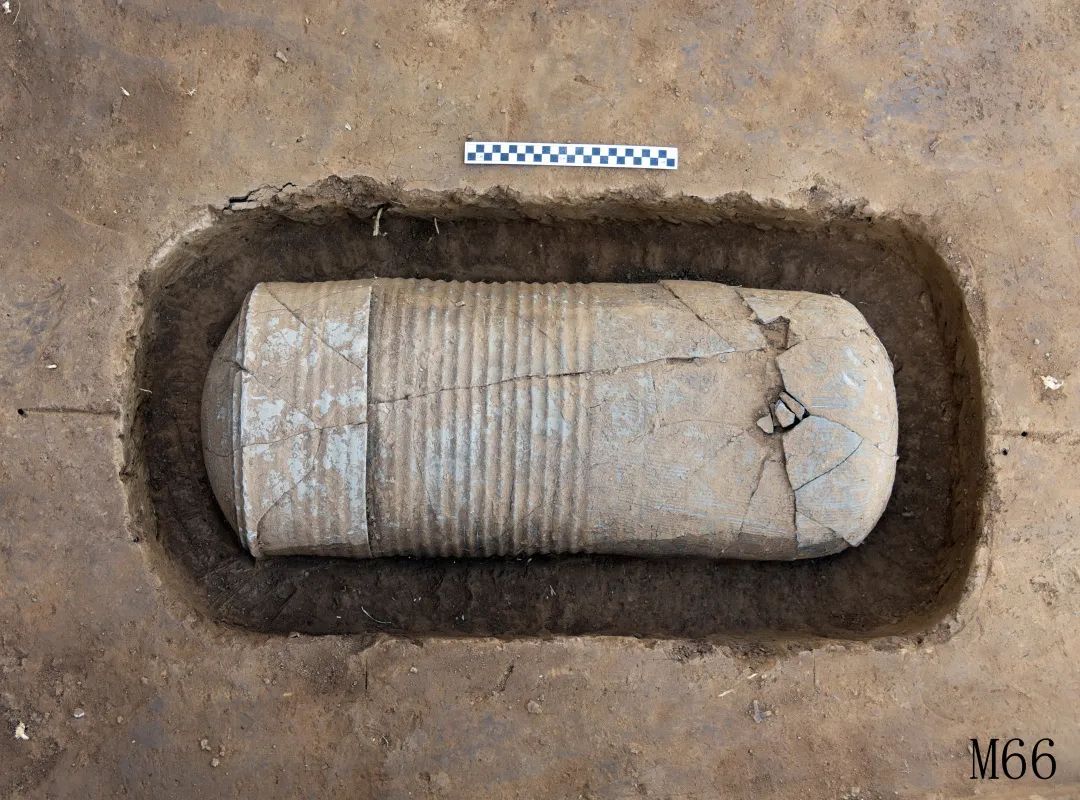 山东烟台发现大型瓮棺葬墓群