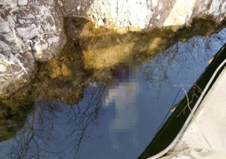 河北一年轻老师诡异失联多日后人在一水塘中被找到已不幸身亡