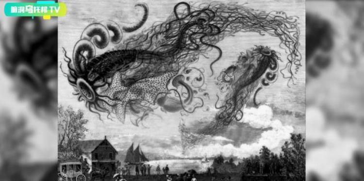 解密大气层怪物假说游走于空中大气层神秘生物传说它是龙的真身
