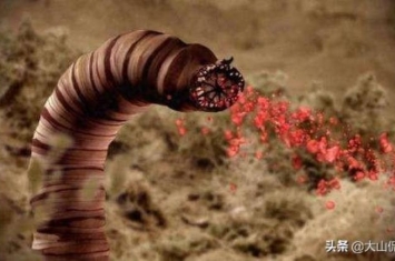 死亡之虫或许真的存在于蒙古沙漠之中吗,蒙古沙漠死亡之虫