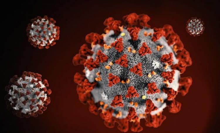 新型冠状病毒的最初来源,为什么会有新型冠状病毒