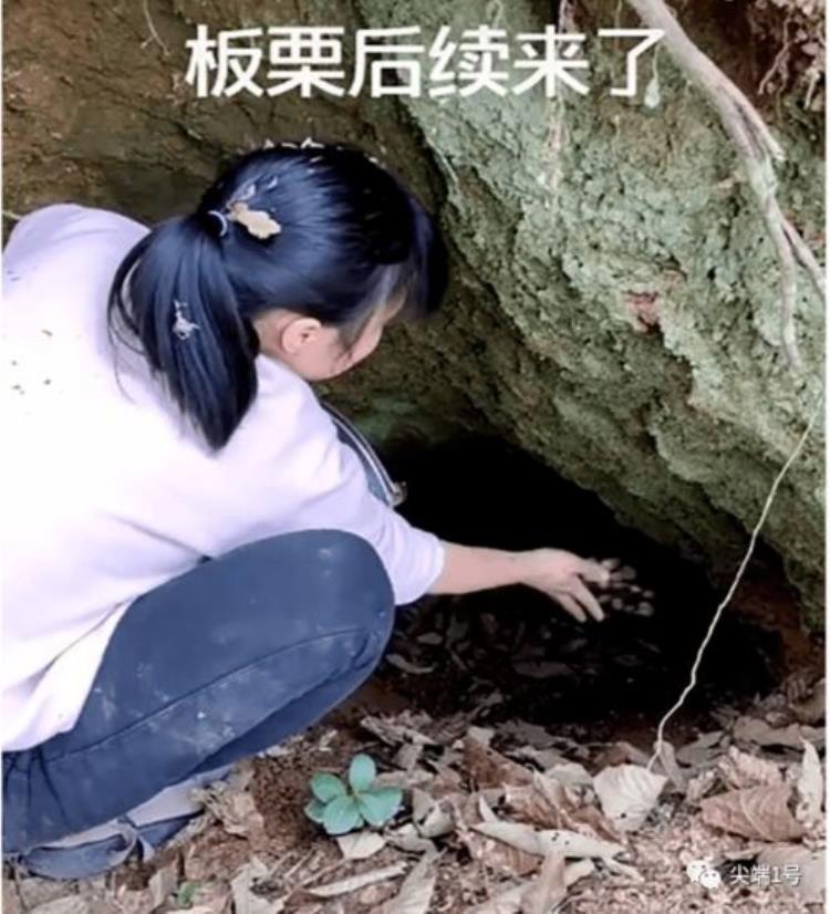北京教师登山失踪遗书,28岁老师离奇失踪