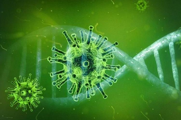 细思极恐新冠疫情最严重的美国为什么没有出现本土变异病毒,美国新冠病毒最新绝密报告