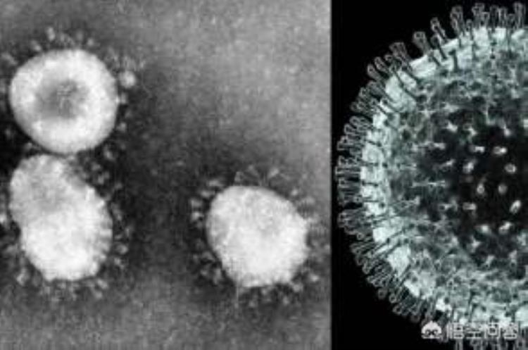 除了新冠这4种病毒也要警惕它们可能会引发多种癌症,新冠病毒可以引起恶性肿瘤吗