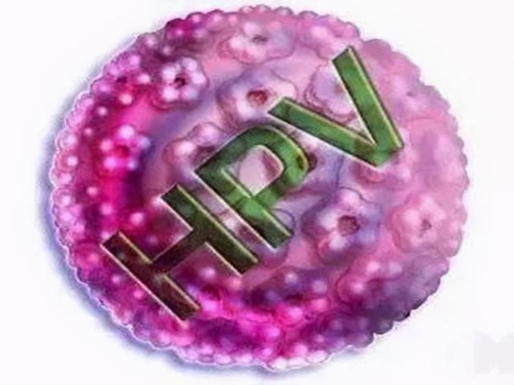 hpv高危阳性是怎么感染的,hpv高危型阳性怎么办