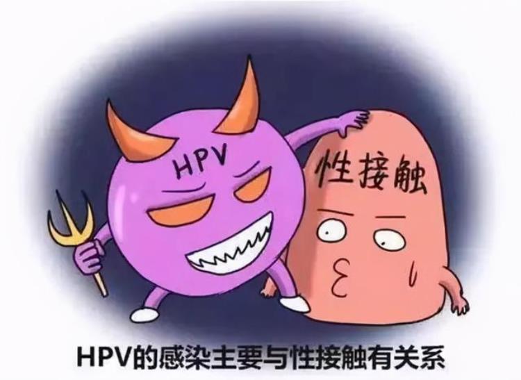 hpv高危阳性是怎么感染的,hpv高危型阳性怎么办