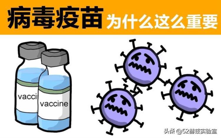 全球都在等新冠疫苗疫苗是如何做出来的呢,目前最有可能成功的新冠疫苗