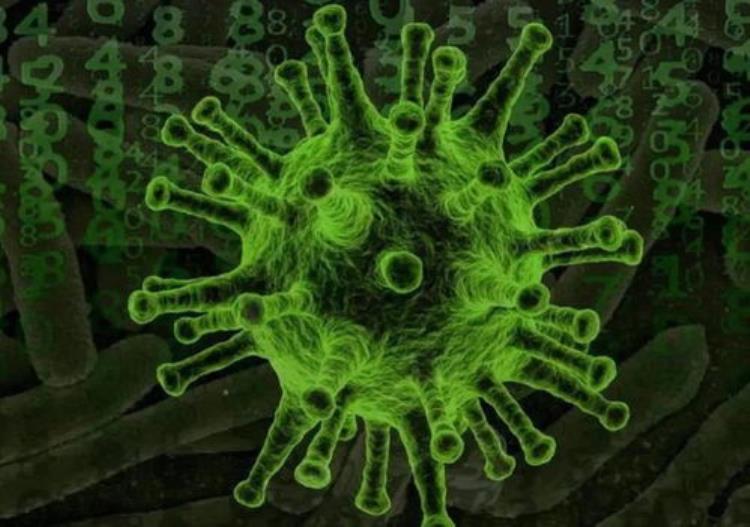 新冠状病毒的基因「新冠病毒基因突变」