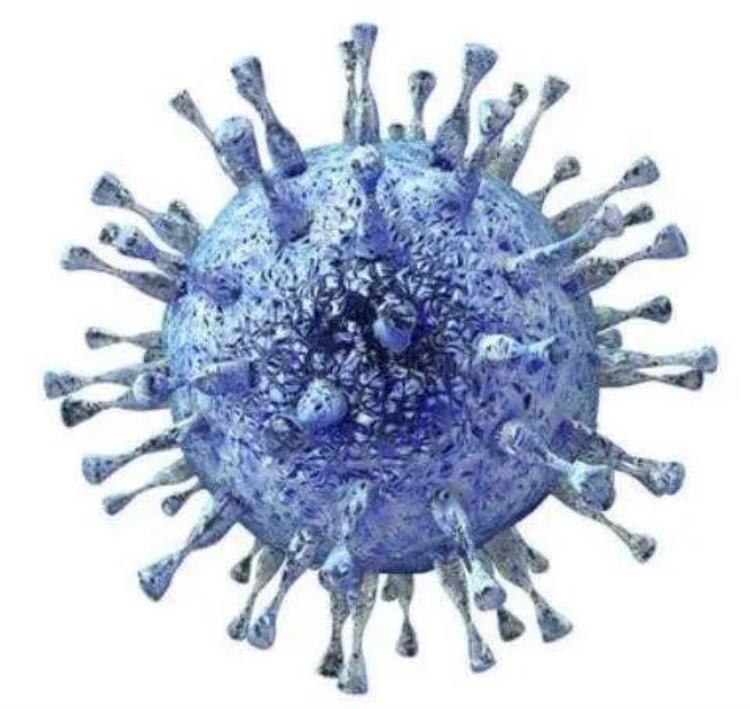 有多少人感染过巨细胞病毒,成人在什么情况感染巨细胞病毒