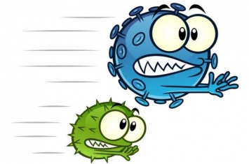 病毒和细菌怎么区分的,病毒比细菌小多少