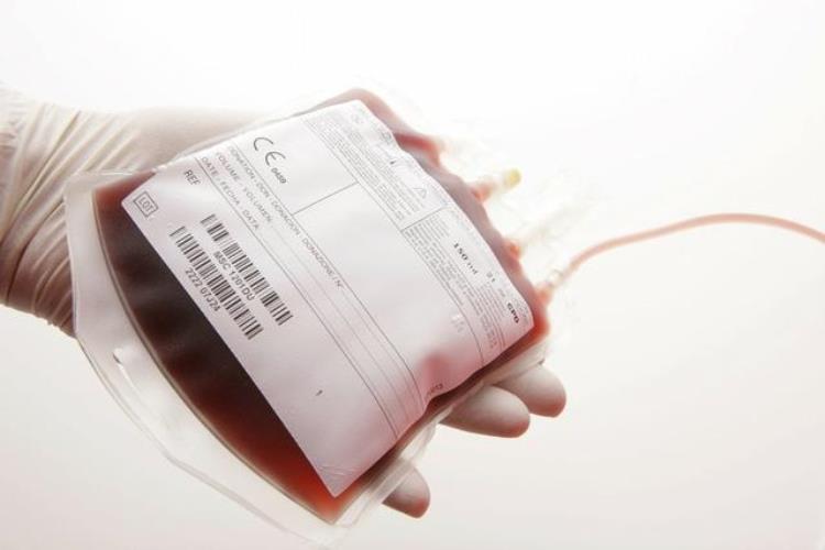 疫情期间为什么需要献血,六种人不宜献血