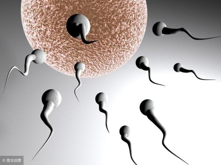 哪些因素会影响精子生成