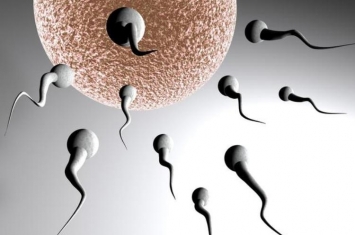 哪些因素会影响精子生成