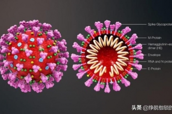 新冠病毒在天气变热之后会自动消失对吗,2025年新冠病毒会消失吗