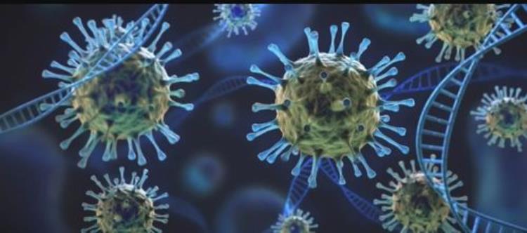 病毒怎么会变异呢,人体巨细胞病毒是怎么感染的