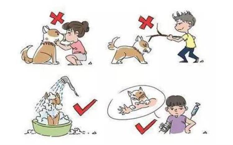 狂犬疫苗的管理,狂犬病疫苗能治愈狂犬病