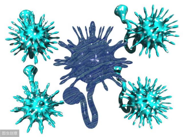 乙肝病毒是如何在体内形成感染的呢「乙肝病毒是如何在体内形成感染的」