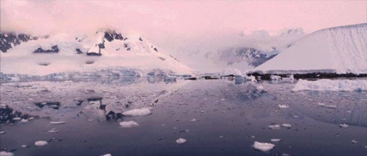 在北极发现的超级病毒,北极爆发可怕病毒电影