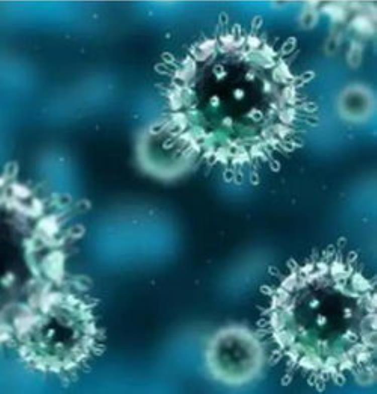中国出现琅琊病毒为什么新病毒越来越多,sars病毒和新冠病毒