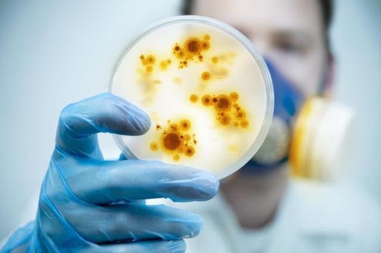 关于抗生素的科普小知识都说抗生素只能杀细菌不能杀病毒那为什么抗生素对病毒性感冒也有效