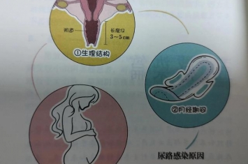 孕期为什么更容易感染,为什么泌尿感染多见于女性
