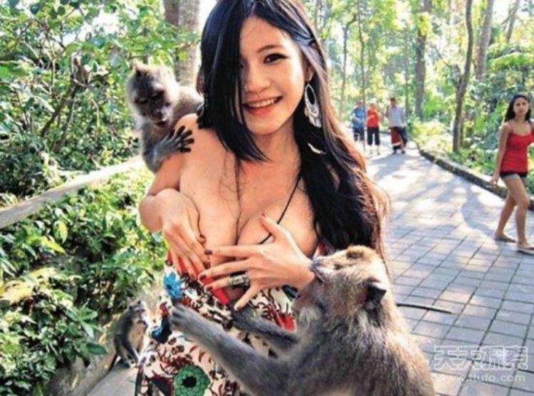 全球动物袭人事件美女遭猴当众扒光