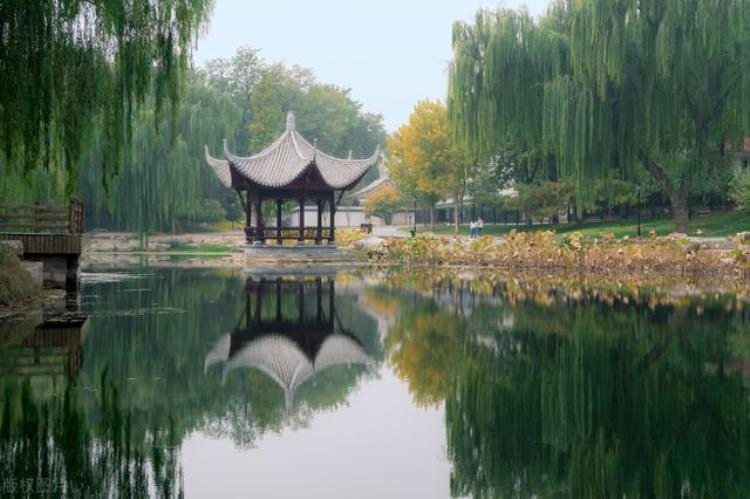小小池塘竟藏水怪北京这座公园到底隐藏着什么秘密