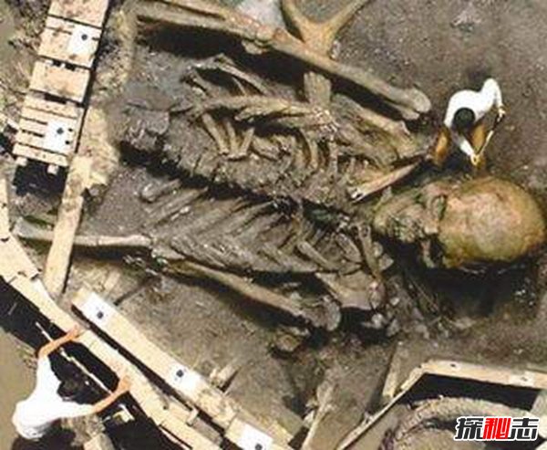 中国发现65米巨人骸骨,巨人真的存在吗?(真相揭秘)