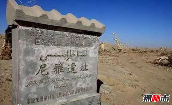 震惊世界!新疆大沙漠考古十大发现(附考古意义)