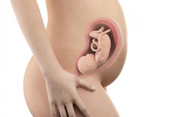 孕期为什么腰疼站不起来,为什么怀孕期间容易出现腰痛