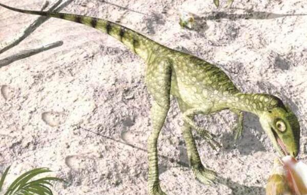 山西龙：中国山西小型恐龙（体长3.5米/生活在早白垩世）