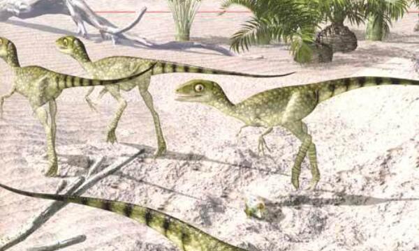 山西龙：中国山西小型恐龙（体长3.5米/生活在早白垩世）
