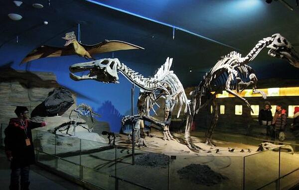 黑龙江龙：亚洲大型食草恐龙（体长10米/6500万年前）