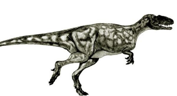 索诺拉龙：北美洲巨型恐龙（长17米/腕龙的三分之一）