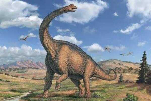 时代龙：中国云南大型食肉恐龙（长8米/1.55亿年前）