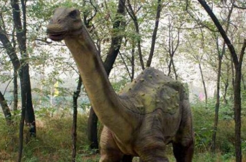 萨尔塔龙：南美洲大型食草恐龙（长13米重8吨/防御力强）