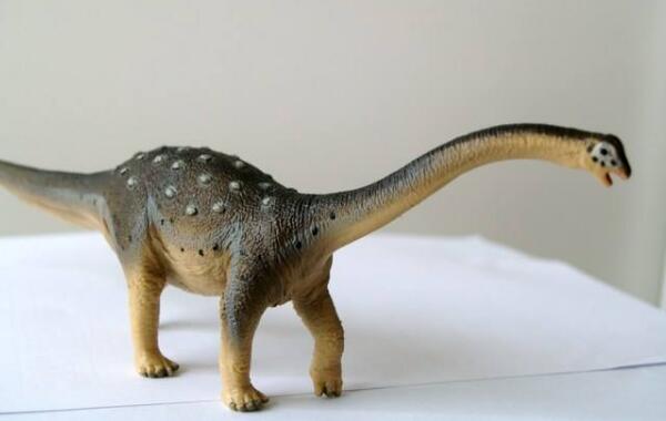黑龙江龙：亚洲大型食草恐龙（体长10米/6500万年前）