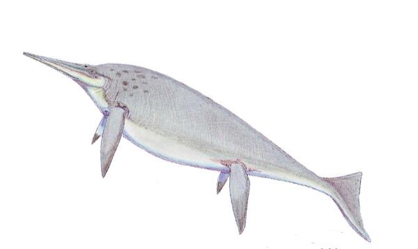 沙尼龙：北美洲大型水生恐龙（长21/鲸鱼与海豚的结合体）