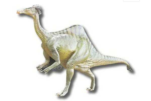 史前小型恐龙:龙盗龙 2014年才首次发现(身长仅2米)
