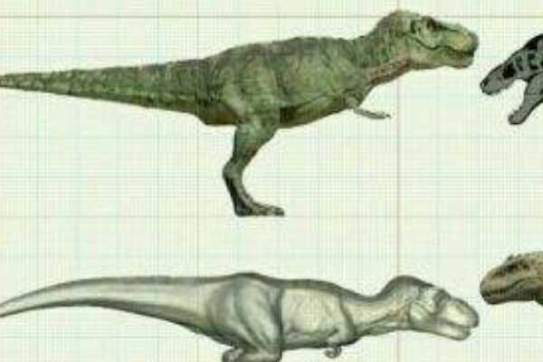 北美首批蜥脚恐龙：糙节龙 身长14米(诞生于侏罗纪末期)