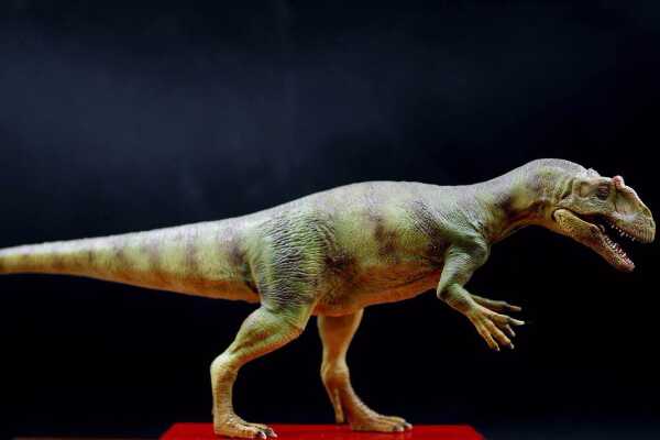 侏罗纪兽脚斑龙：多里亚猎龙 长达7米(分布于英国南部)