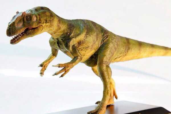 侏罗纪兽脚斑龙：多里亚猎龙 长达7米(分布于英国南部)