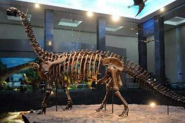 非洲大型食肉恐龙：三角洲奔龙 速度极快(每小时45公里)