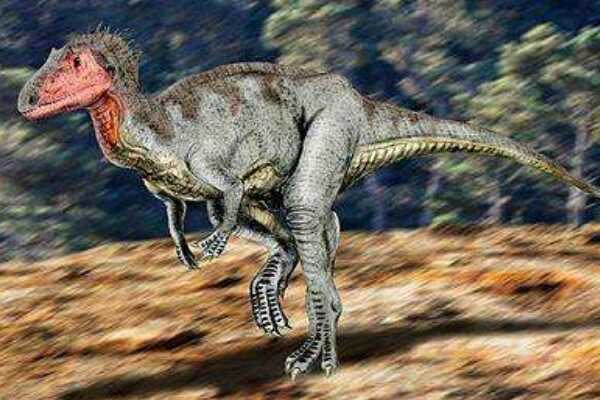 中国巨型蜥脚恐龙：东北巨龙 最长20米(发现于辽宁)