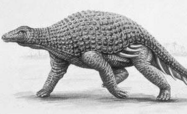 鞍龙：欧洲大型食草恐龙（长6.5米/距今2.08亿年前）