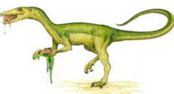 南非兽脚恐龙：龙猎龙 最长可达7米(仅发现一处化石)